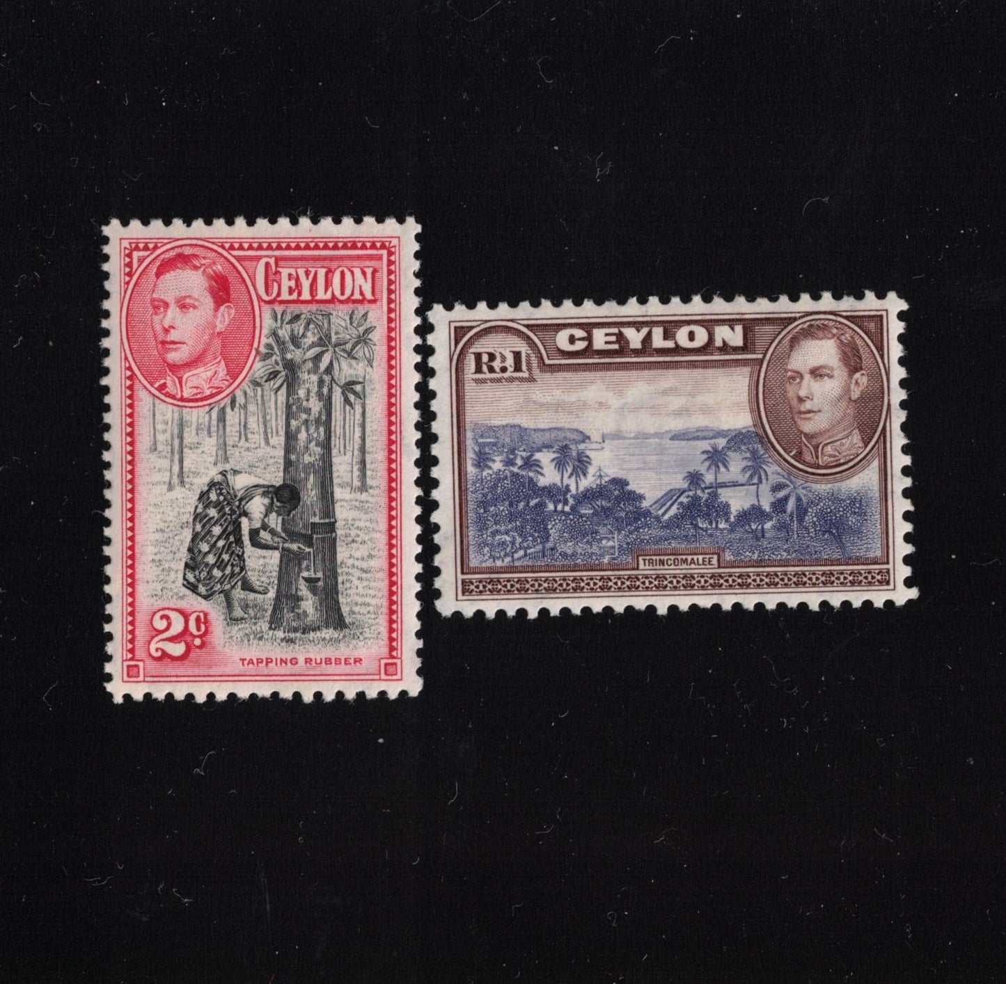 Ceylon 1938-44 2c Tapping Rubber