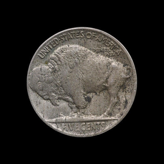 USA Buffalo Nickel 1920-D