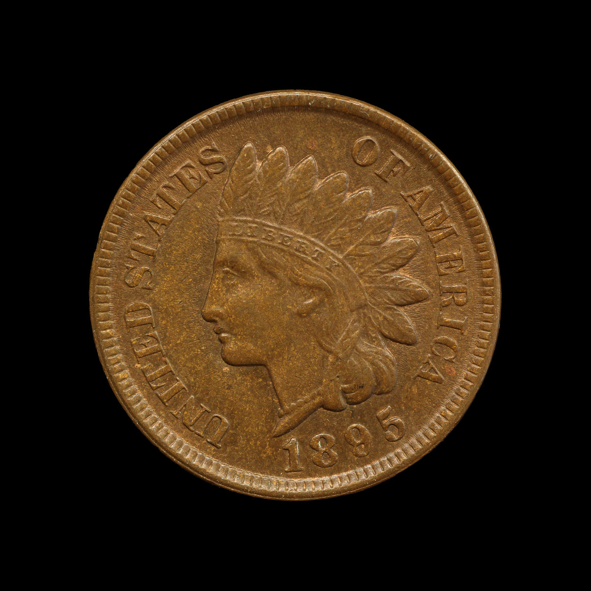 USA Indian Head Cent 1895
