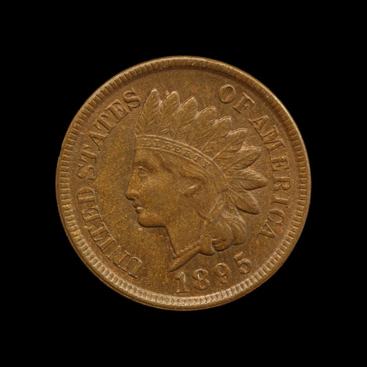USA Indian Head Cent 1895