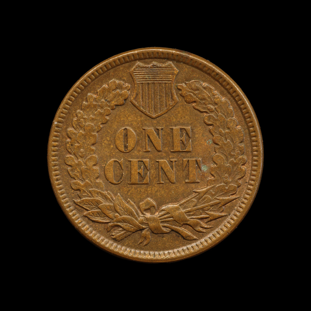 USA Indian Head Cent 1895