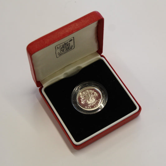 1986 Piedfort Silver One Pound Proof